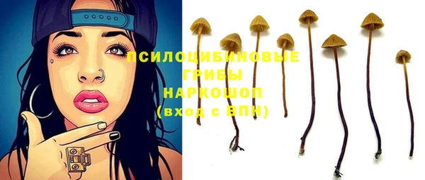 МДПВ Абдулино