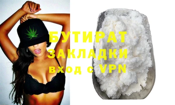 сатива Новозыбков
